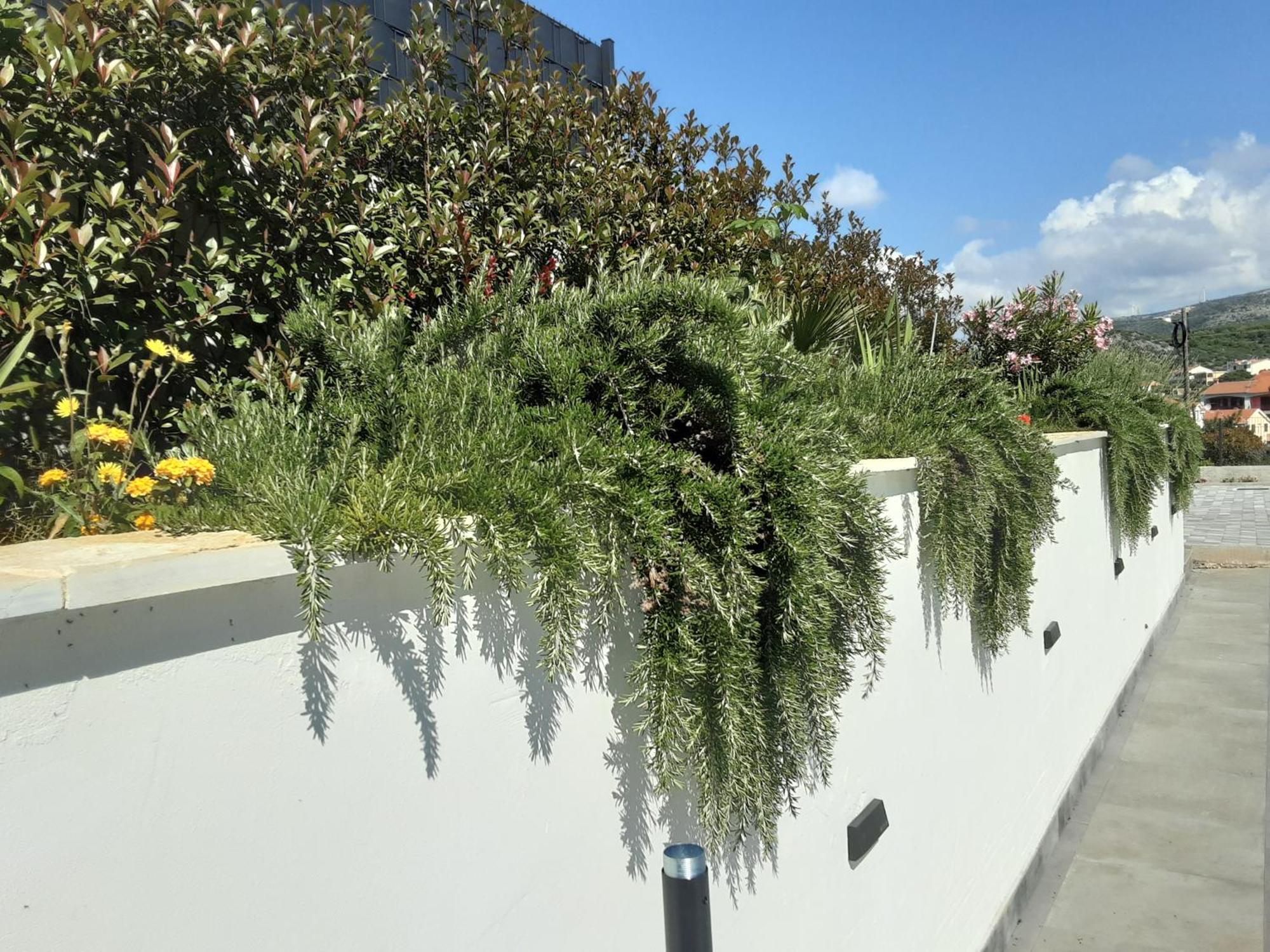 Villa Barbara & Zoran With Free Parking And Heated Swimming Pool Seget Vranjica Exterior photo